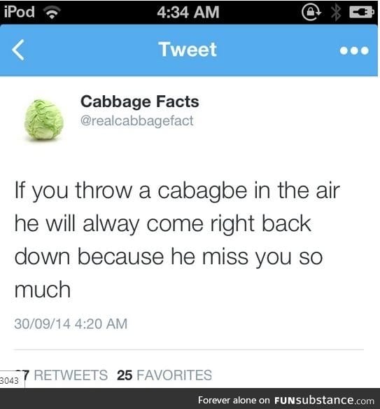 Cabbage hate me so much it defies physics