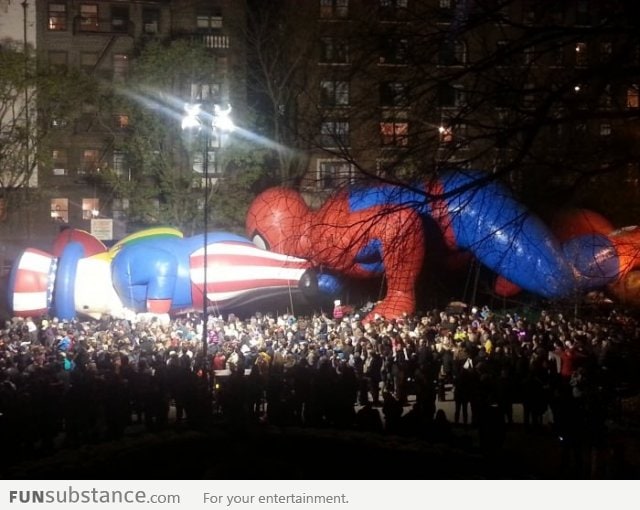 Spidey, what are you doing?