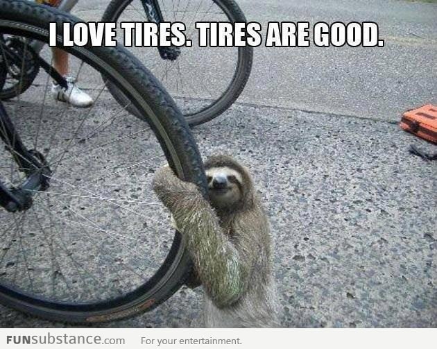 Your daily dose of sloth