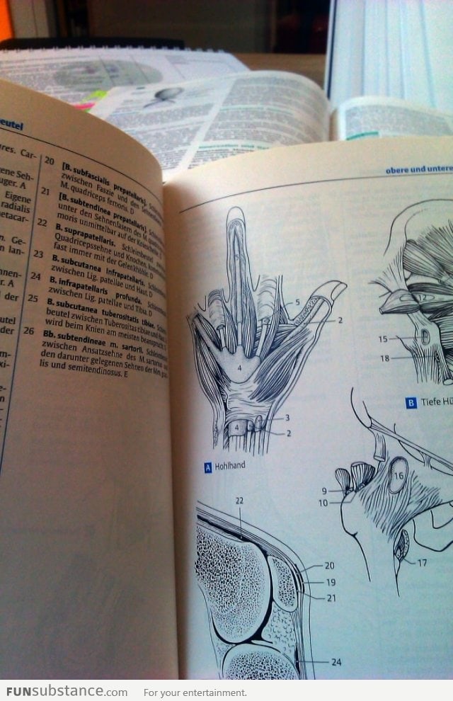 Even my biology book is against me