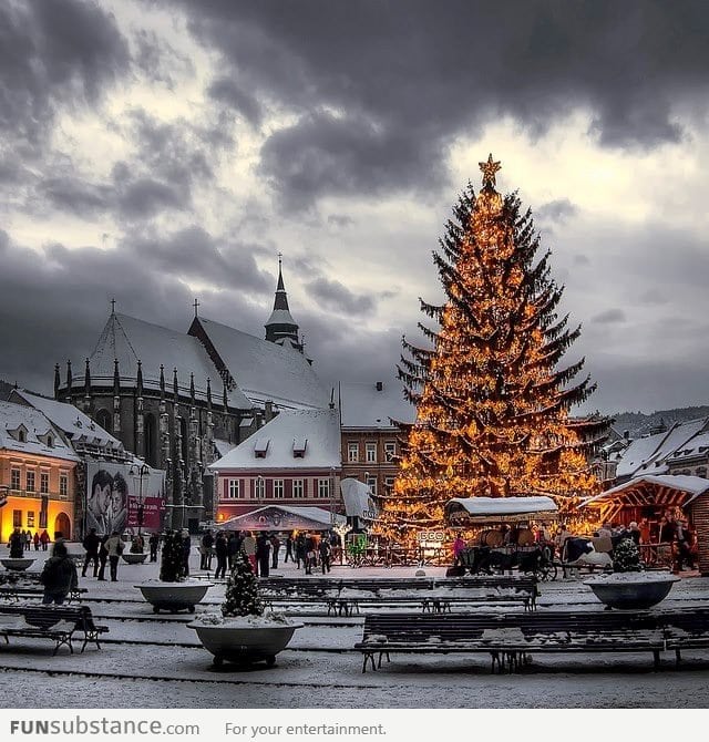 Awesome Christmas tree in Brasov, Romania