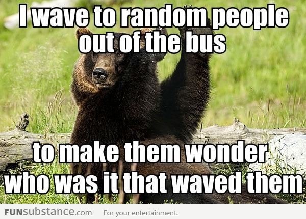 Confession bear and the public transportation