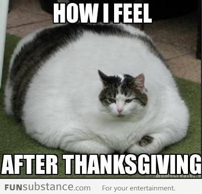 How I feel after Thanksgiving