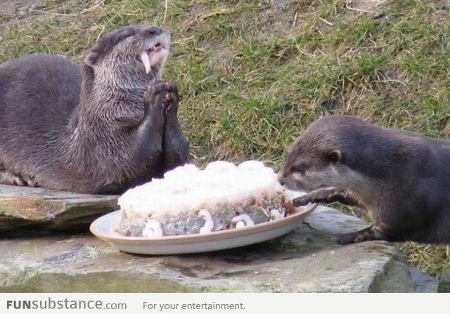 "Thank you god for this amazing shrimp cake!"