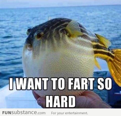 Fish Wants To Fart