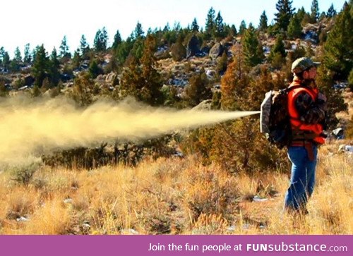 Backpack that pepper sprays bears as you run