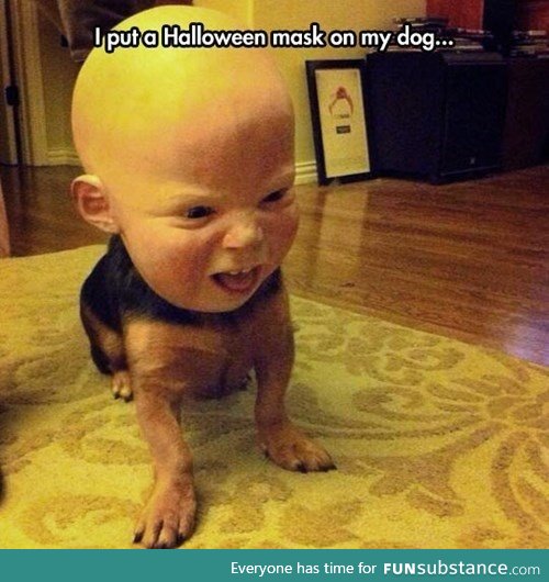 Scary dog