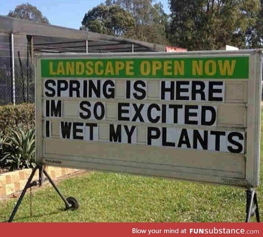 Spring is here to stay