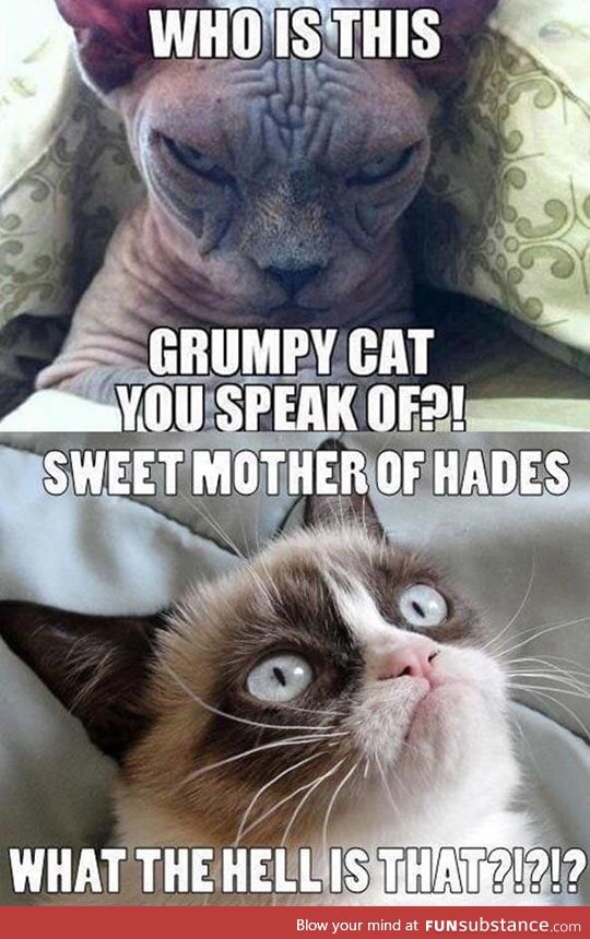 Just when you thought grumpy was mean