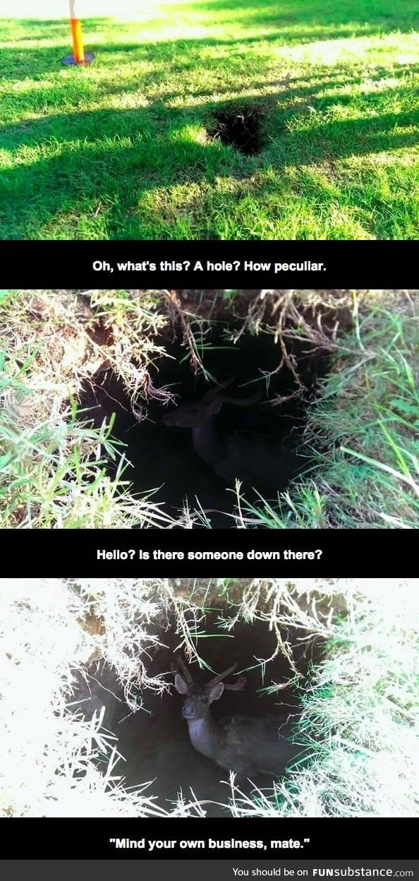 Something weird in a burrow