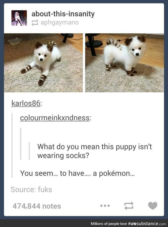 We can call him dogimon!