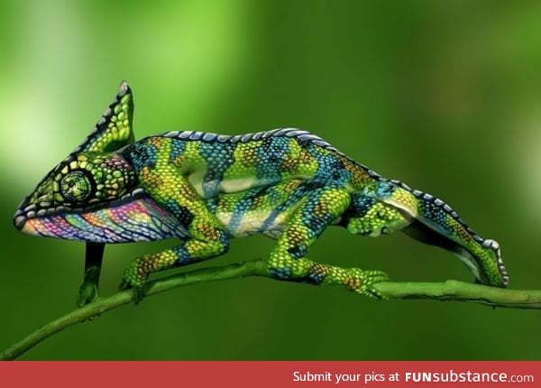 This chameleon is actually two painted women