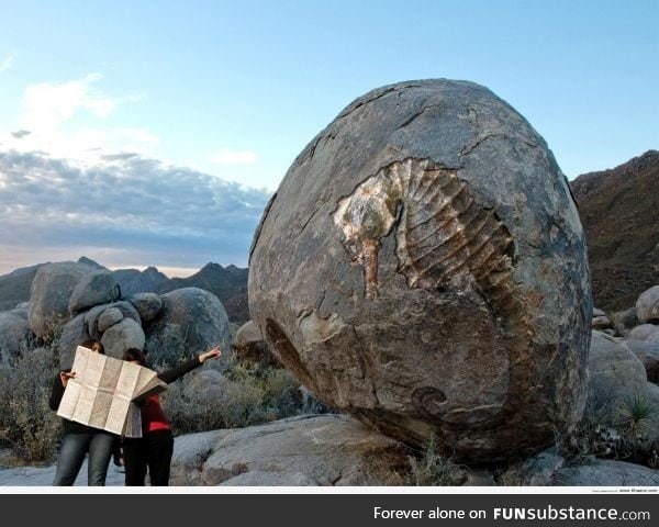 Giant fossil of a seahorse