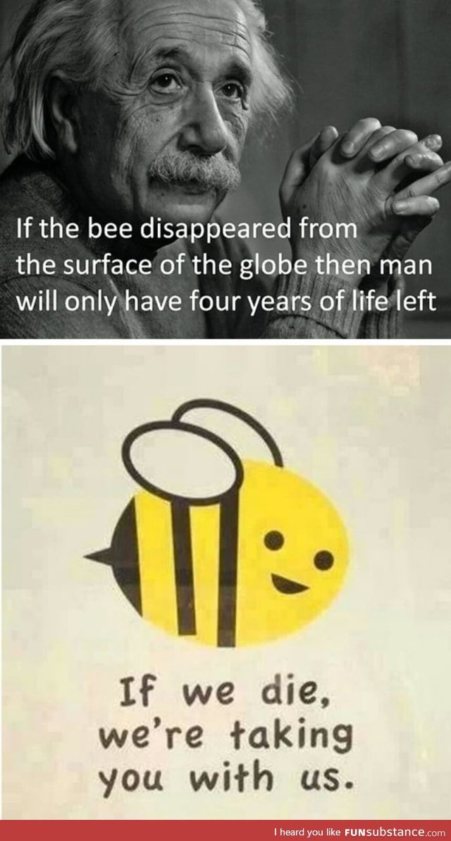 Those bees mean bees-ness