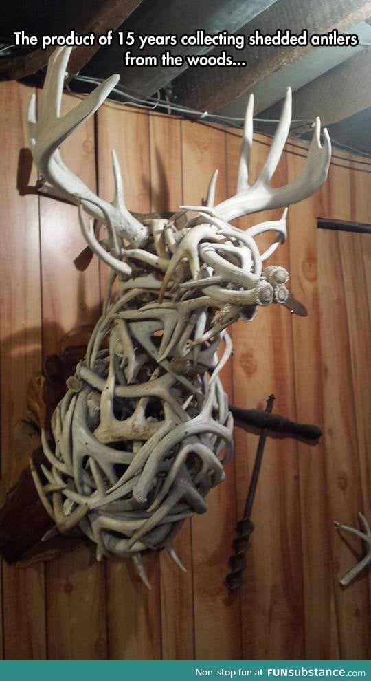 Magnificent sculpture using antlers