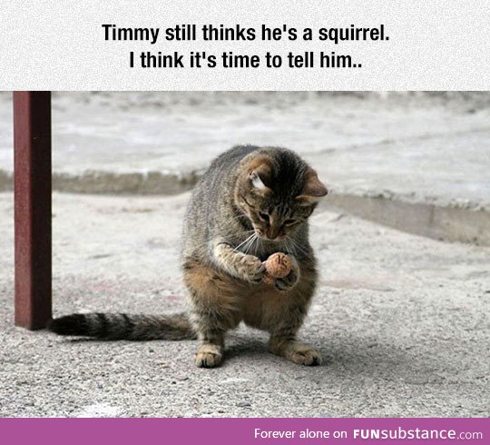 Poor timmy