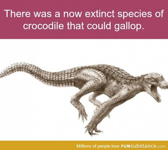 Thankfully They're Extinct