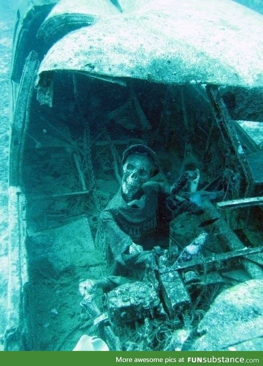 Underwater airplane wreckage