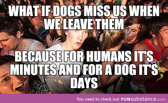 Dog years and human years - FunSubstance