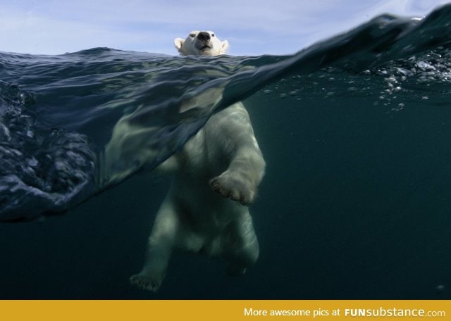 Photographer Joe Bunni spent three days on a small boat looking for polar bears