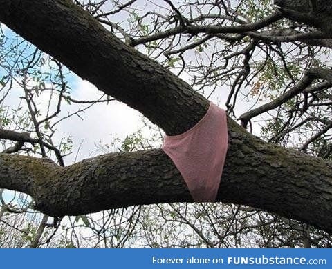 I'm just a sexy tree