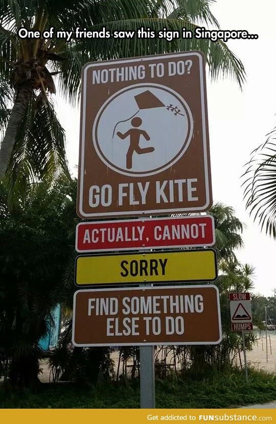 Go fly kite