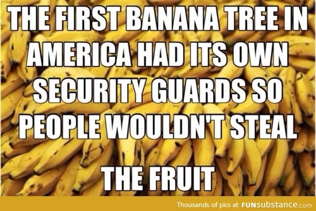 Banana had security