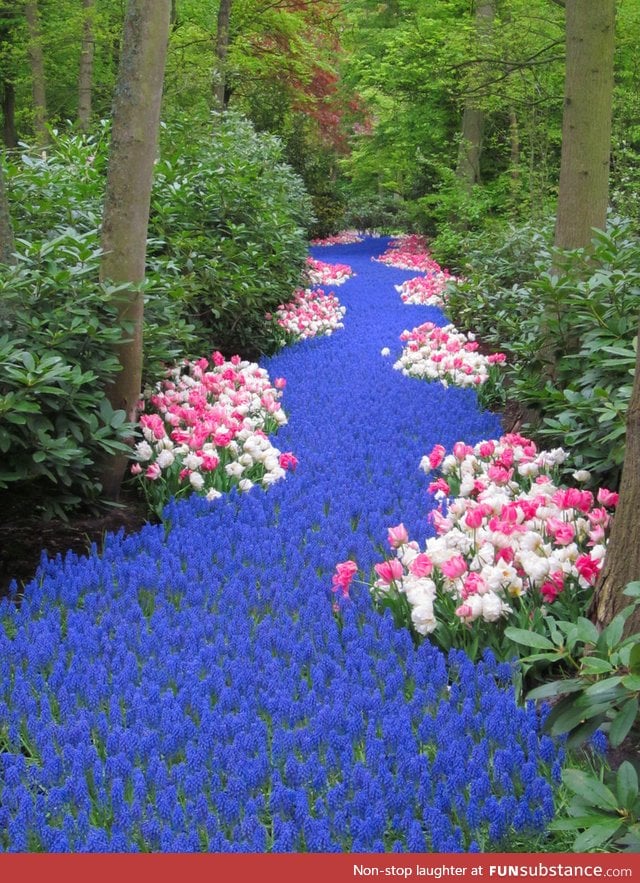 River of flowers