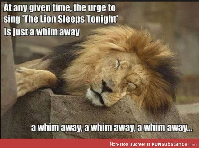 A whim away a whim away