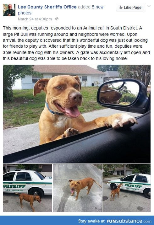 At least some Police agencies know how to interact with dogs