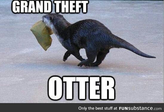 Grand theft otter