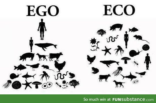 Ego vs. Eco