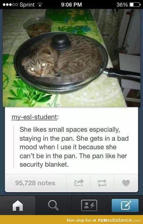 Security blanket