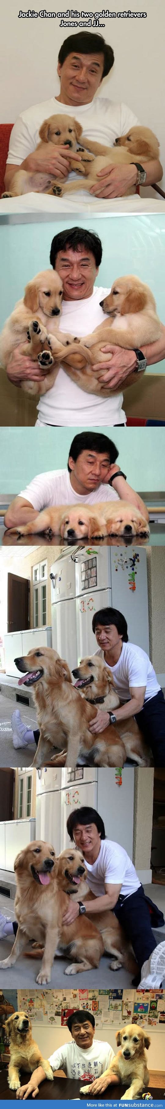 Jacky chan is a dog lover