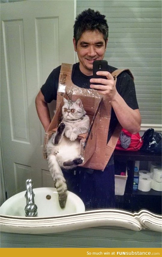 Cat chest harness