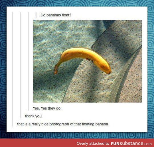 Bananas float
