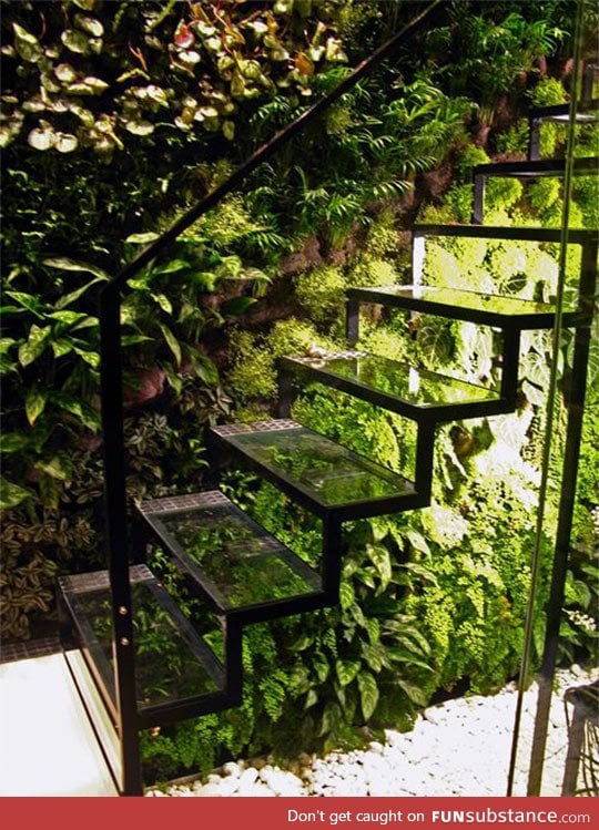 Greenhouse staircase