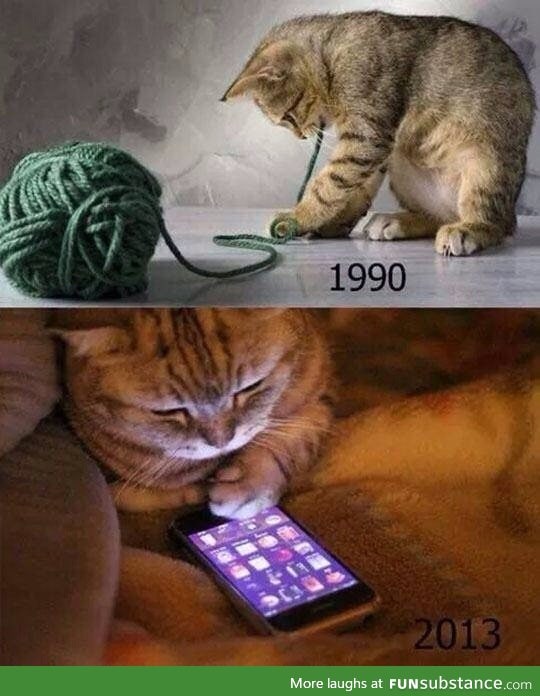 Only 90's cats will understand