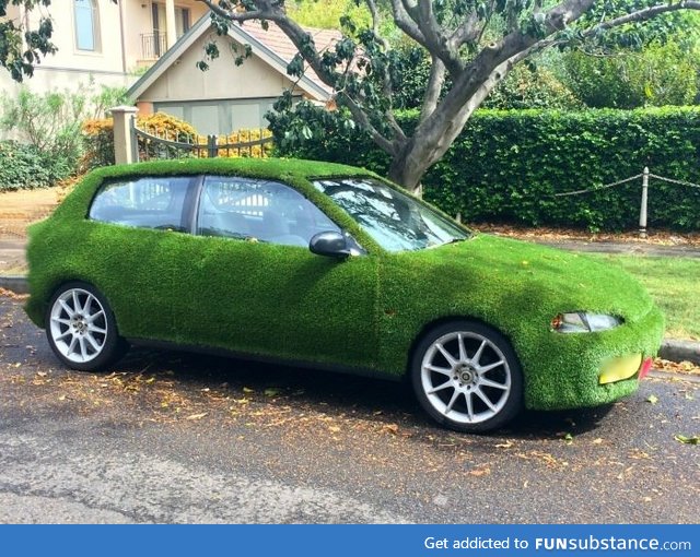 This car is covered in Astroturf