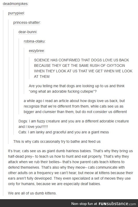 Cats, dogs and humans