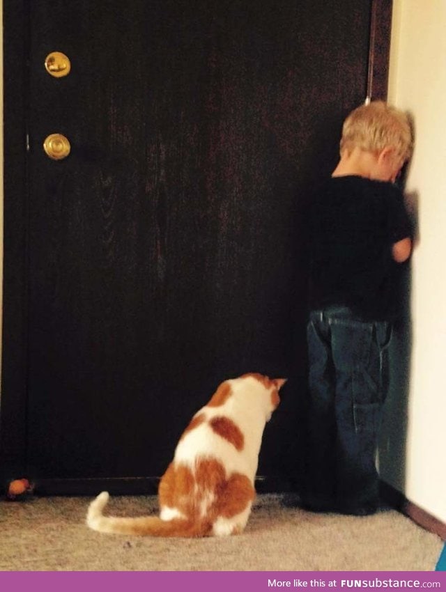 Kid was put into time out. The cat decided to join him