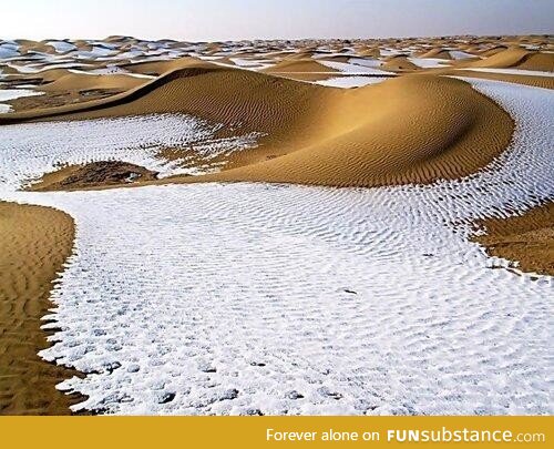 In 1979, snow fell in the Sahara Desert
