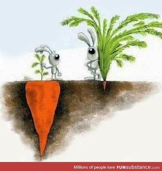 Success Isn't Always What You See