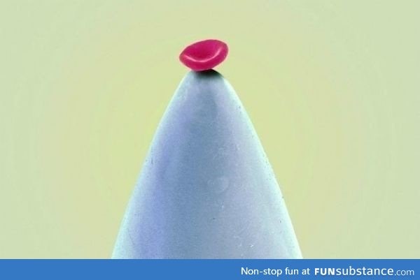 A red blood cell on the tip of a needle