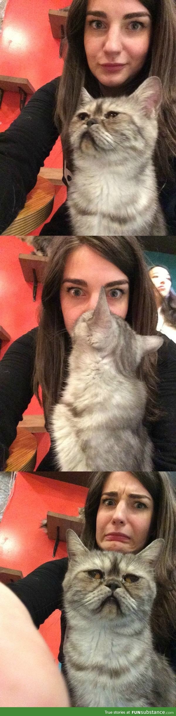 She was taking selfies with this cat and he surprise-kissed her