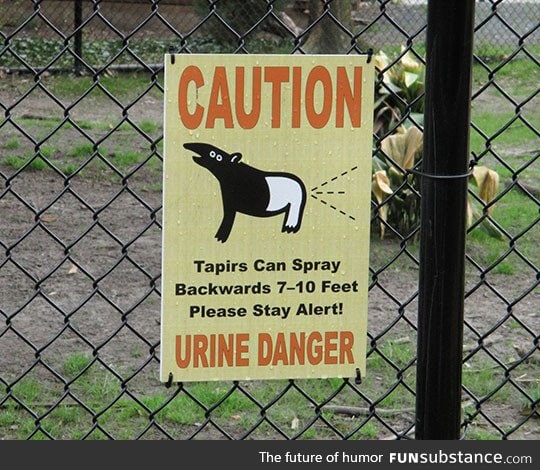 Stay safe and have pun at the zoo