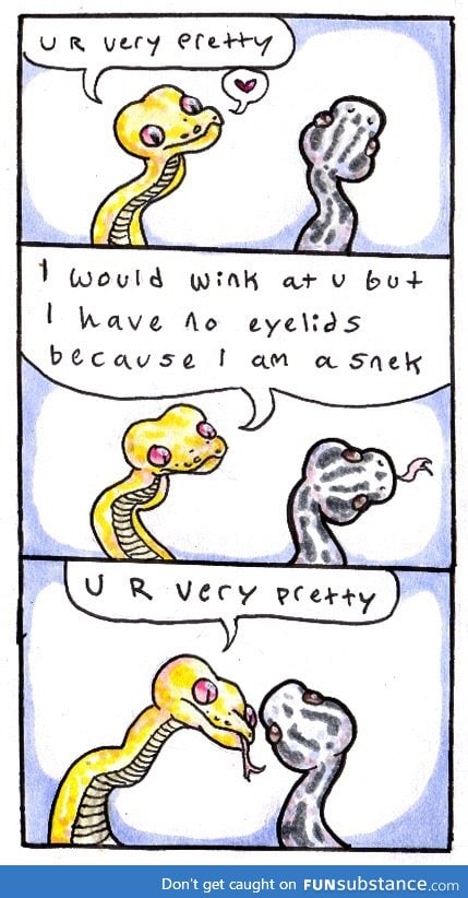 Snek