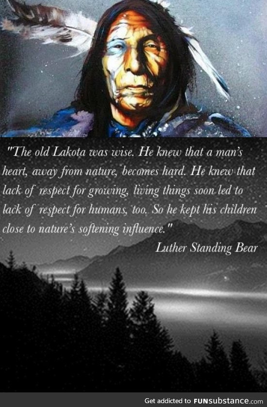 Wise words from Lakota