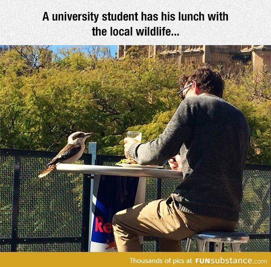 Student shares a meal