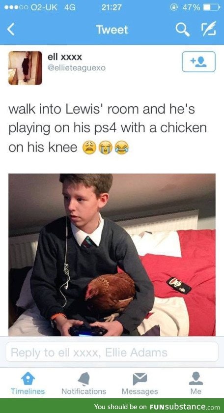 i once had a chicken but it had never played video games with me.